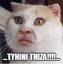 Cats | ...TYHINI THIZA!!!!... | image tagged in funny cats,memes,xhosa meme | made w/ Imgflip meme maker