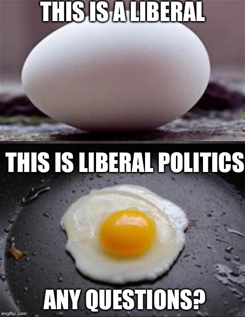 fried or scrambled? | THIS IS A LIBERAL; THIS IS LIBERAL POLITICS; ANY QUESTIONS? | image tagged in memes | made w/ Imgflip meme maker