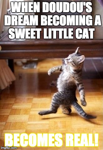 Cool Cat Stroll Meme | WHEN DOUDOU'S DREAM BECOMING A SWEET LITTLE CAT; BECOMES REAL! | image tagged in memes,cool cat stroll | made w/ Imgflip meme maker