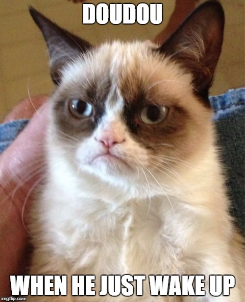 Grumpy Cat Meme | DOUDOU; WHEN HE JUST WAKE UP | image tagged in memes,grumpy cat | made w/ Imgflip meme maker