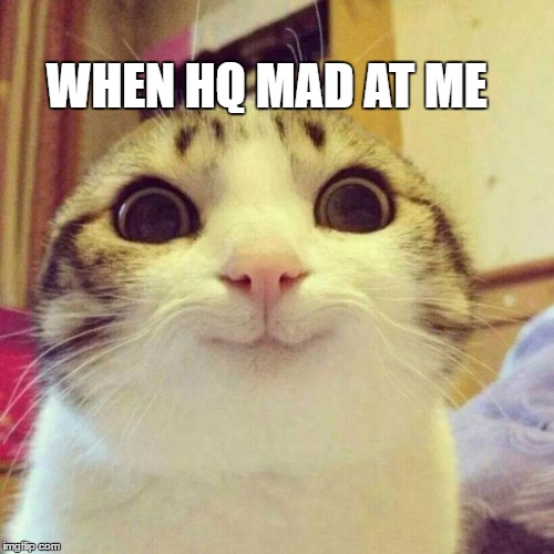 Smiling Cat Meme | WHEN HQ MAD AT ME | image tagged in memes,smiling cat | made w/ Imgflip meme maker