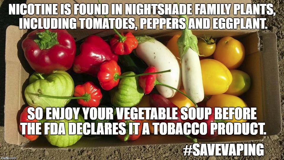 Contraband Vegetables | NICOTINE IS FOUND IN NIGHTSHADE FAMILY PLANTS, INCLUDING TOMATOES, PEPPERS AND EGGPLANT. SO ENJOY YOUR VEGETABLE SOUP BEFORE THE FDA DECLARES IT A TOBACCO PRODUCT. #SAVEVAPING | image tagged in government,political memes,vaping | made w/ Imgflip meme maker