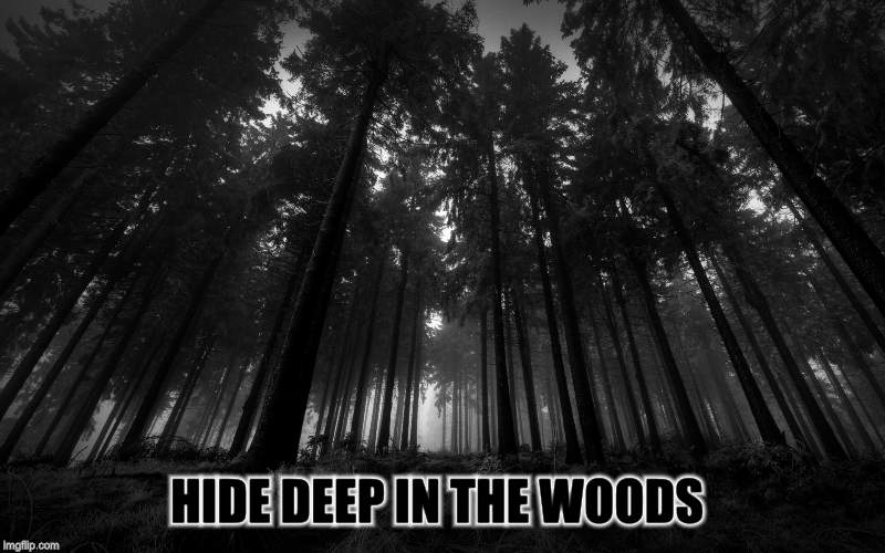 HIDE DEEP IN THE WOODS | made w/ Imgflip meme maker