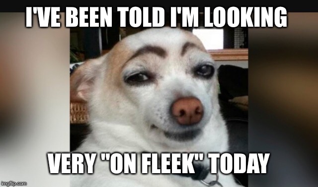 I'VE BEEN TOLD I'M LOOKING VERY "ON FLEEK" TODAY | made w/ Imgflip meme maker