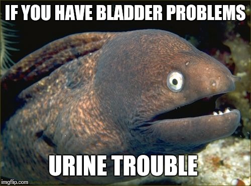 Bad Joke Eel Meme | IF YOU HAVE BLADDER PROBLEMS; URINE TROUBLE | image tagged in memes,bad joke eel | made w/ Imgflip meme maker