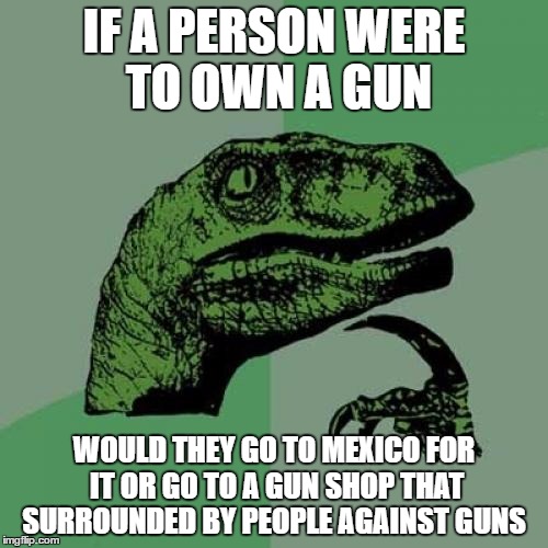 Philosoraptor Meme | IF A PERSON WERE TO OWN A GUN; WOULD THEY GO TO MEXICO FOR IT OR GO TO A GUN SHOP THAT SURROUNDED BY PEOPLE AGAINST GUNS | image tagged in memes,philosoraptor | made w/ Imgflip meme maker