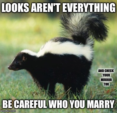Dating Advice | LOOKS AREN'T EVERYTHING; AND CHECK YOUR MIRROR TOO; BE CAREFUL WHO YOU MARRY | image tagged in skunk | made w/ Imgflip meme maker