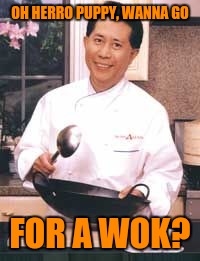 OH HERRO PUPPY, WANNA GO FOR A WOK? | made w/ Imgflip meme maker
