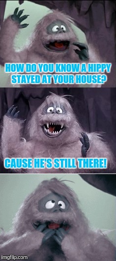 Hippie Bumbly Joke | HOW DO YOU KNOW A HIPPY STAYED AT YOUR HOUSE? CAUSE HE'S STILL THERE! | image tagged in hippie | made w/ Imgflip meme maker