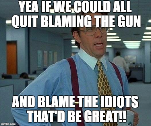 That Would Be Great Meme | YEA IF WE COULD ALL QUIT BLAMING THE GUN; AND BLAME THE IDIOTS THAT'D BE GREAT!! | image tagged in memes,that would be great | made w/ Imgflip meme maker