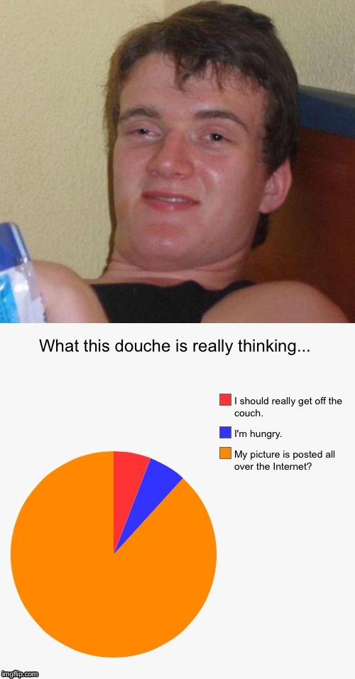 image tagged in 10 guy,dumbass,high,pie,pie charts,pie chart | made w/ Imgflip meme maker