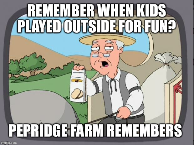 Mom I'm bored!!!!  | REMEMBER WHEN KIDS PLAYED OUTSIDE FOR FUN? PEPRIDGE FARM REMEMBERS | image tagged in pepridge farms | made w/ Imgflip meme maker