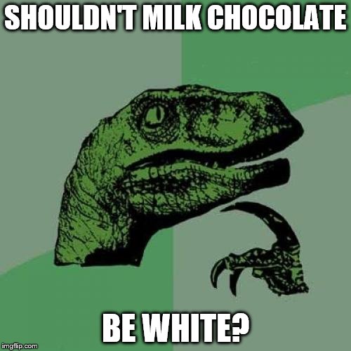 You would think so, right? | SHOULDN'T MILK CHOCOLATE; BE WHITE? | image tagged in memes,philosoraptor,chocolate,food | made w/ Imgflip meme maker