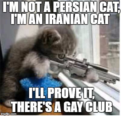 cats with guns | I'M NOT A PERSIAN CAT, I'M AN IRANIAN CAT; I'LL PROVE IT, THERE'S A GAY CLUB | image tagged in cats with guns | made w/ Imgflip meme maker