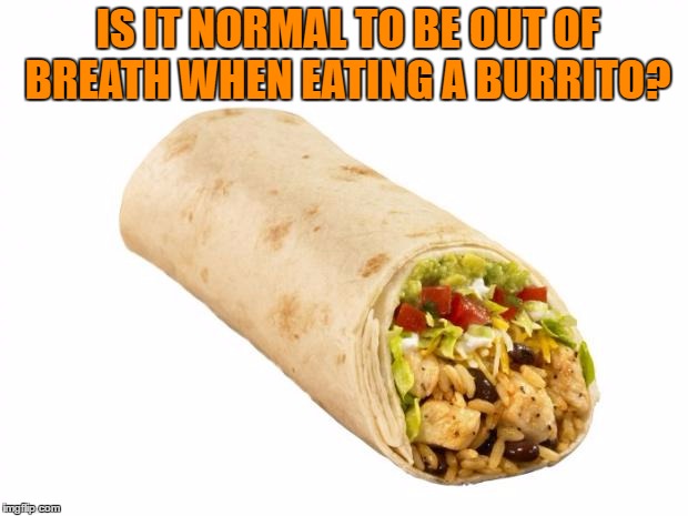 burrito | IS IT NORMAL TO BE OUT OF BREATH WHEN EATING A BURRITO? | image tagged in burrito,out of shape,cant breathe,funny | made w/ Imgflip meme maker