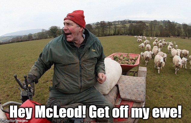 Hey McLeod! Get off my ewe! | made w/ Imgflip meme maker