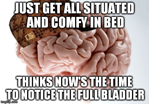 Scumbag Brain Couldn't Have Noticed 5 Minutes Earlier??!?!?? | JUST GET ALL SITUATED AND COMFY IN BED; THINKS NOW'S THE TIME TO NOTICE THE FULL BLADDER | image tagged in memes,scumbag brain | made w/ Imgflip meme maker