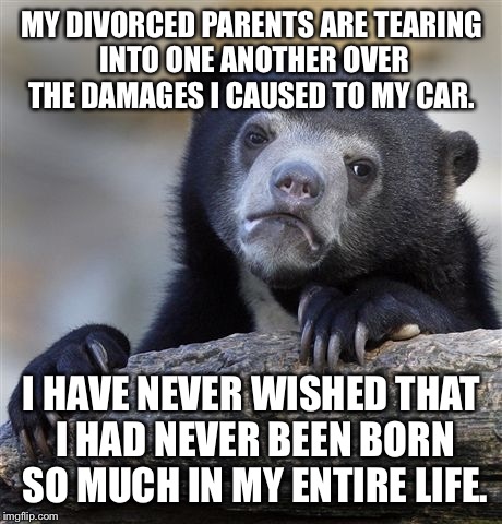 Confession Bear | MY DIVORCED PARENTS ARE TEARING INTO ONE ANOTHER OVER THE DAMAGES I CAUSED TO MY CAR. I HAVE NEVER WISHED THAT I HAD NEVER BEEN BORN SO MUCH IN MY ENTIRE LIFE. | image tagged in memes,confession bear,AdviceAnimals | made w/ Imgflip meme maker