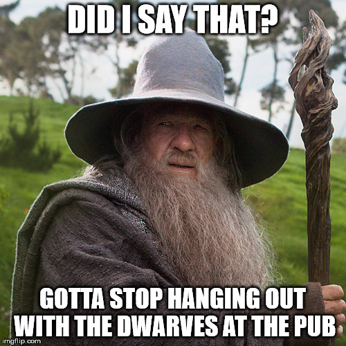 DID I SAY THAT? GOTTA STOP HANGING OUT WITH THE DWARVES AT THE PUB | made w/ Imgflip meme maker