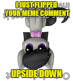 I JUST FLIPPED YOUR MEME COMMENT UPSIDE DOWN | made w/ Imgflip meme maker