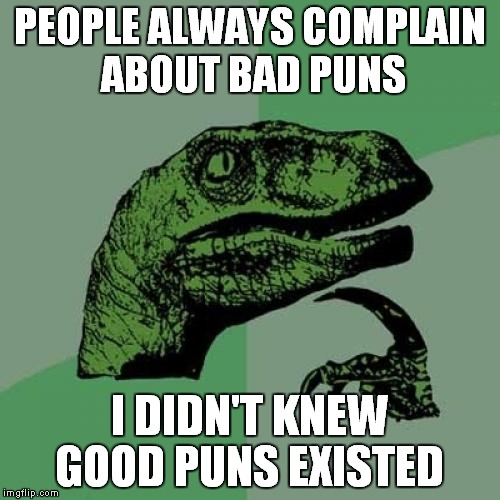 Good puns actually exist?  | PEOPLE ALWAYS COMPLAIN ABOUT BAD PUNS; I DIDN'T KNEW GOOD PUNS EXISTED | image tagged in memes,philosoraptor,puns | made w/ Imgflip meme maker