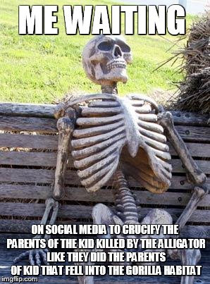 Waiting Skeleton | ME WAITING; ON SOCIAL MEDIA TO CRUCIFY THE PARENTS OF THE KID KILLED BY THE ALLIGATOR LIKE THEY DID THE PARENTS OF KID THAT FELL INTO THE GORILLA HABITAT | image tagged in memes,waiting skeleton | made w/ Imgflip meme maker