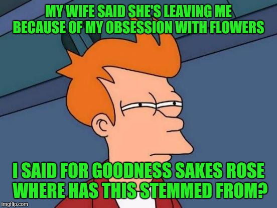 Futurama Fry Meme | MY WIFE SAID SHE'S LEAVING ME BECAUSE OF MY OBSESSION WITH FLOWERS; I SAID FOR GOODNESS SAKES ROSE WHERE HAS THIS STEMMED FROM? | image tagged in memes,futurama fry | made w/ Imgflip meme maker
