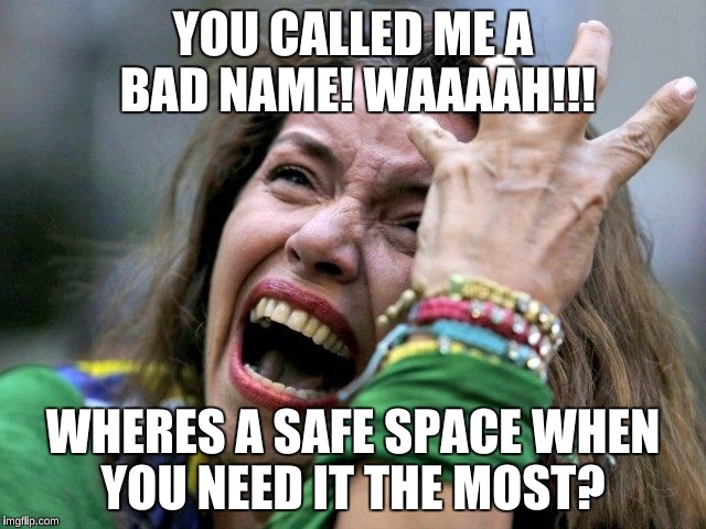 YOU CALLED ME A BAD NAME! WAAAAH!!! WHERES A SAFE SPACE WHEN YOU NEED IT THE MOST? | made w/ Imgflip meme maker