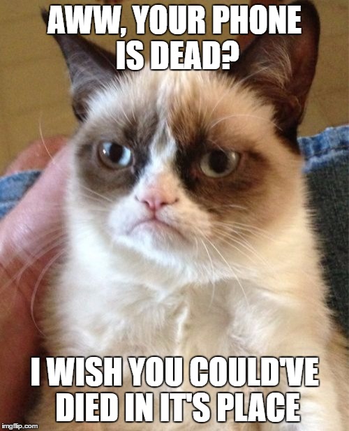 Grumpy Cat Meme | AWW, YOUR PHONE IS DEAD? I WISH YOU COULD'VE DIED IN IT'S PLACE | image tagged in memes,grumpy cat | made w/ Imgflip meme maker