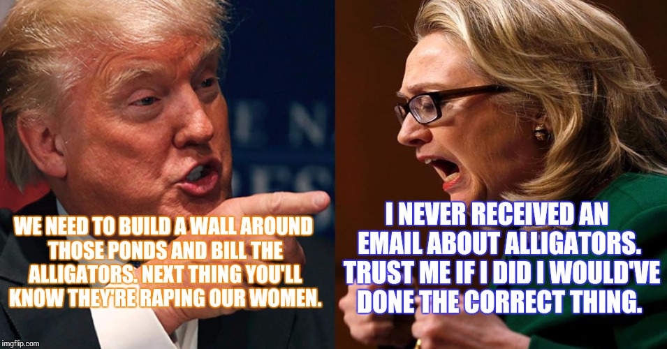 Trump v Hillary: On the real issues | I NEVER RECEIVED AN EMAIL ABOUT ALLIGATORS.  TRUST ME IF I DID I WOULD'VE DONE THE CORRECT THING. WE NEED TO BUILD A WALL AROUND THOSE PONDS AND BILL THE ALLIGATORS. NEXT THING YOU'LL KNOW THEY'RE RAPING OUR WOMEN. | image tagged in hillary trump | made w/ Imgflip meme maker
