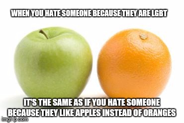 apples oranges compare difference | WHEN YOU HATE SOMEONE BECAUSE THEY ARE LGBT; IT'S THE SAME AS IF YOU HATE SOMEONE BECAUSE THEY LIKE APPLES INSTEAD OF ORANGES | image tagged in apples oranges compare difference | made w/ Imgflip meme maker