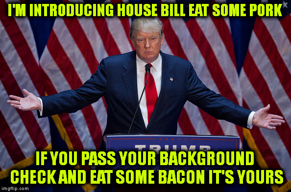 Or Sausage | I'M INTRODUCING HOUSE BILL EAT SOME PORK; IF YOU PASS YOUR BACKGROUND CHECK AND EAT SOME BACON IT'S YOURS | image tagged in donald trump,gun control | made w/ Imgflip meme maker