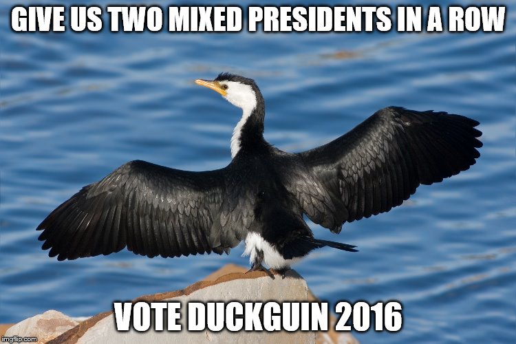 Duckguin | GIVE US TWO MIXED PRESIDENTS IN A ROW; VOTE DUCKGUIN 2016 | image tagged in duckguin | made w/ Imgflip meme maker