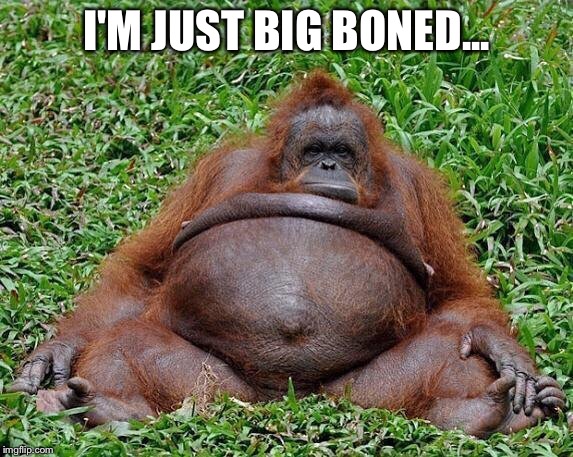 Big monkey | I'M JUST BIG BONED... | image tagged in monkey,monkeys,heavy | made w/ Imgflip meme maker