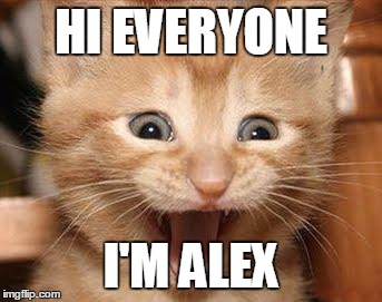 Excited Cat Meme | HI EVERYONE; I'M ALEX | image tagged in memes,excited cat | made w/ Imgflip meme maker