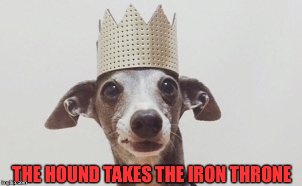 THE HOUND TAKES THE IRON THRONE | image tagged in the hound,got,game of thrones | made w/ Imgflip meme maker