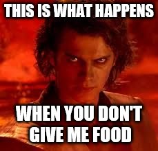 anakin star wars | THIS IS WHAT HAPPENS; WHEN YOU DON'T GIVE ME FOOD | image tagged in anakin star wars | made w/ Imgflip meme maker