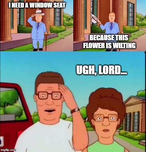 Bobby Hill | I NEED A WINDOW SEAT; BECAUSE THIS FLOWER IS WILTING; UGH, LORD... | image tagged in bobby hill | made w/ Imgflip meme maker