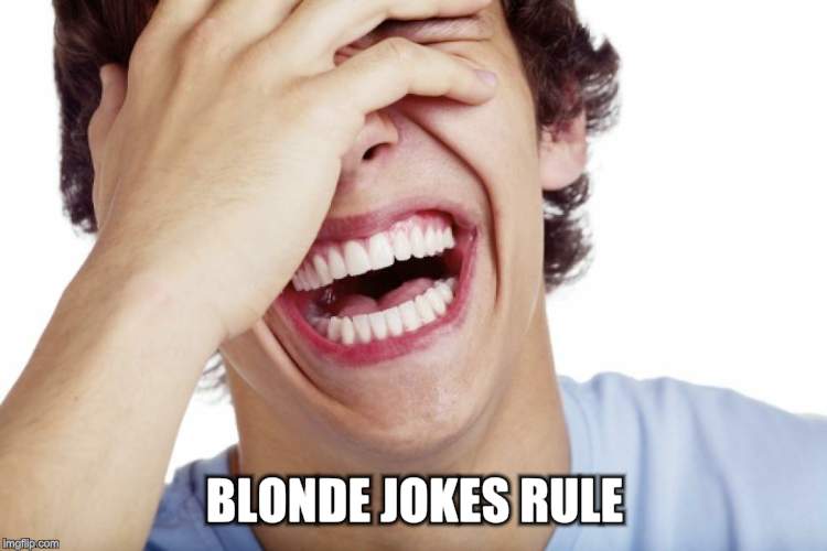 BLONDE JOKES RULE | made w/ Imgflip meme maker