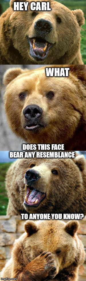 Bad Pun Bear Imgflip