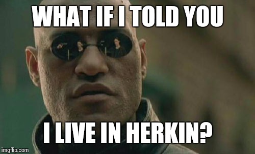 Matrix Morpheus Meme | WHAT IF I TOLD YOU I LIVE IN HERKIN? | image tagged in memes,matrix morpheus | made w/ Imgflip meme maker