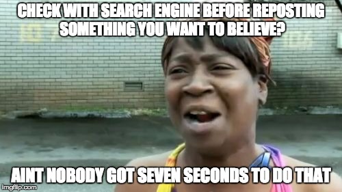 Ain't Nobody Got Time For That | CHECK WITH SEARCH ENGINE BEFORE REPOSTING SOMETHING YOU WANT TO BELIEVE? AINT NOBODY GOT SEVEN SECONDS TO DO THAT | image tagged in memes,aint nobody got time for that | made w/ Imgflip meme maker