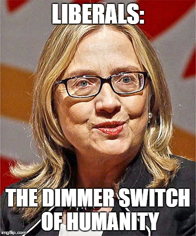 clinton 2016 | LIBERALS:; THE DIMMER SWITCH OF HUMANITY | image tagged in clinton,hillary,election,2016,meme | made w/ Imgflip meme maker