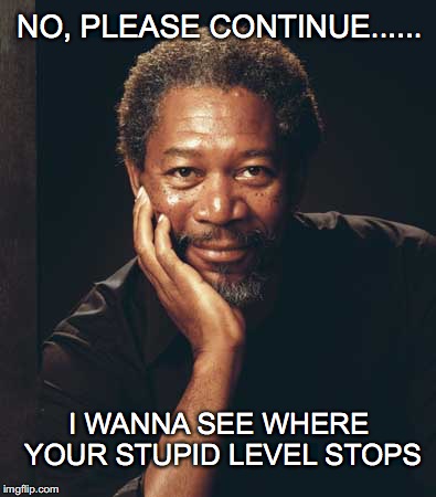 please continue.... even though you are comeplety wrong | NO, PLEASE CONTINUE...... I WANNA SEE WHERE YOUR STUPID LEVEL STOPS | image tagged in stupid,no please continue morgan freeman | made w/ Imgflip meme maker