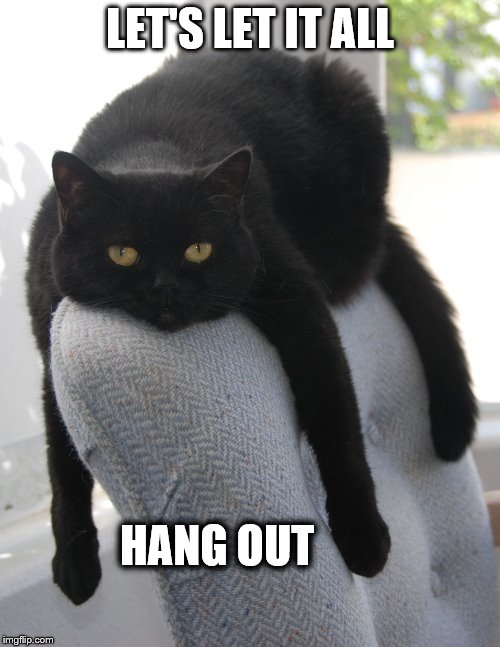 DRAPED CAT BE LIKE | LET'S LET IT ALL; HANG OUT | image tagged in black cat draped on chair,let's let it all hang out | made w/ Imgflip meme maker