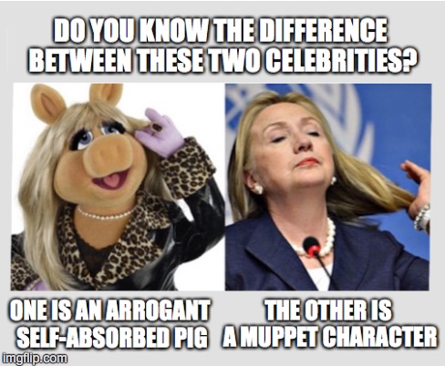 AND THE TRUTH SHALL SET YOU FREE... | . | image tagged in hillary,miss piggy | made w/ Imgflip meme maker