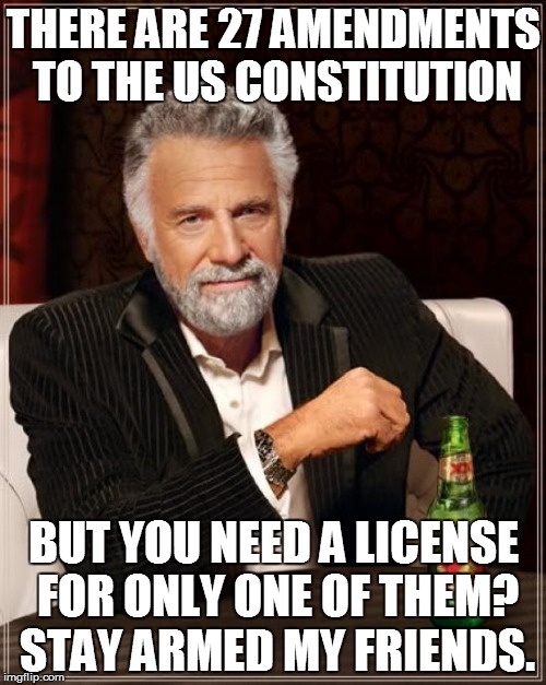 The Most Interesting Man In The World | THERE ARE 27 AMENDMENTS TO THE US CONSTITUTION; BUT YOU NEED A LICENSE FOR ONLY ONE OF THEM? STAY ARMED MY FRIENDS. | image tagged in memes,the most interesting man in the world | made w/ Imgflip meme maker