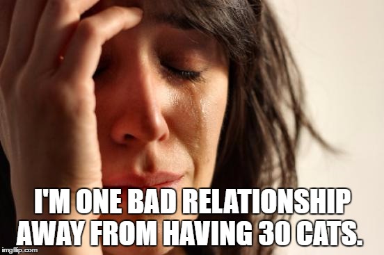 First World Cat Lady Problems | I'M ONE BAD RELATIONSHIP AWAY FROM HAVING 30 CATS. | image tagged in memes,first world problems,funny | made w/ Imgflip meme maker