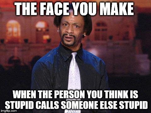 Kat Williams | THE FACE YOU MAKE; WHEN THE PERSON YOU THINK IS STUPID CALLS SOMEONE ELSE STUPID | image tagged in kat williams | made w/ Imgflip meme maker
