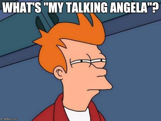 Futurama Fry Meme | WHAT'S "MY TALKING ANGELA"? | image tagged in memes,futurama fry | made w/ Imgflip meme maker